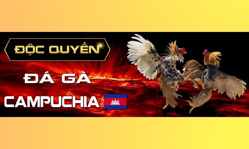 Quà nhận đầy tay, chơi ngay game tại 123win