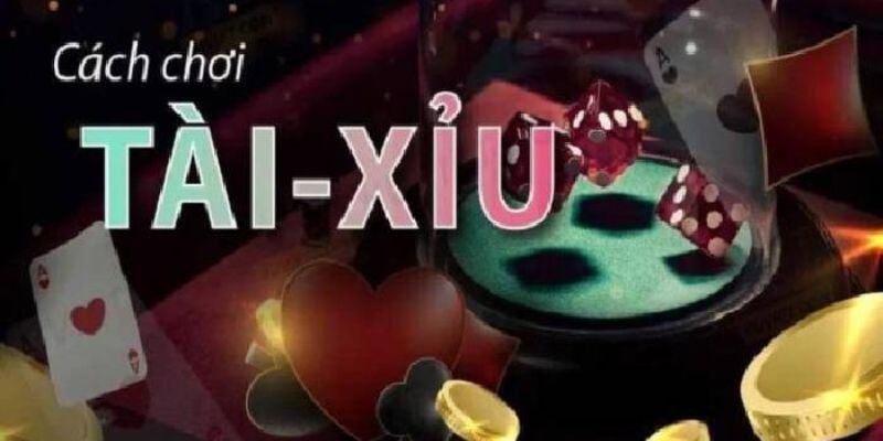 Tổng quan chi tiết về tài xỉu 